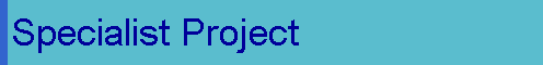  Specialist Project 