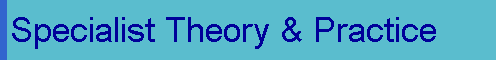  Specialist Theory & Practice 